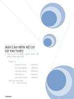 Báo cáo kết quả bài tập lớn (dự án môn học) và tài liệu tham khảo tự đọc thêm về hệ chuyên gia 