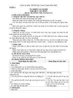 Giáo án môn TNXH lớp 3 bộ sách Cánh diều - HKI