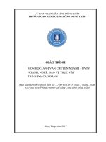 Giáo trình Anh văn chuyên ngành bảo vệ thực vật (Nghề: Bảo vệ thực vật - Cao đẳng) - Trường Cao đẳng cộng đồng Đồng Tháp