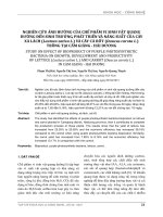 Nghiên cứu ảnh hưởng của chế phẩm vi sinh vật quang dưỡng đến sinh trưởng, phát triển và năng suất của cây xà lách (Lactuca sativa L.) và cây cà rốt (Daucus carota L.) trồng tại