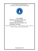 Giáo trình Bảo quản nông sản sau thu hoạch (Nghề: Bảo vệ thực vật - Cao đẳng): Phần 1 - Trường Cao đẳng cộng đồng Đồng Tháp