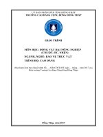 Giáo trình Động vật hại nông nghiệp (chuột, ỗc, nhện) (Nghề: Bảo vệ thực vật - Cao đẳng): Phần 1 - Trường Cao đẳng cộng đồng Đồng Tháp