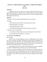 Giáo trình Động vật hại nông nghiệp (chuột, ỗc, nhện) (Nghề: Bảo vệ thực vật - Cao đẳng): Phần 2 - Trường Cao đẳng cộng đồng Đồng Tháp