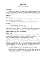 Giáo trình Sinh lý thực vật (Nghề: Bảo vệ thực vật - Cao đẳng): Phần 2 - Trường Cao đẳng cộng đồng Đồng Tháp