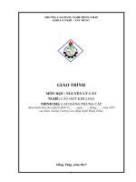 Giáo trình Nguyên lý cắt (Nghề: Cắt gọt kim loại - CĐ/TC) - Trường Cao đẳng Nghề Đồng Tháp