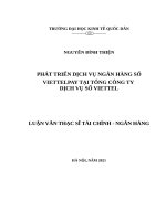 Phát triển dịch vụ Ngân hàng số ViettelPay tại Tổng Công ty Dịch vụ số Viettel
