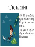 Tu do tai chinh can ban