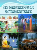 CUỘC ĐỜI&SỰ NGHIỆP CỦA ĐỨC PHẬT TRONG KINH TRUNG BỘ DẪN NHẬP