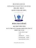 THIẾT kế các bộ điều KHIỂN CHO CÁNH TAY ROBOT 2 bậc tự DO