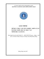 Giáo trình Thực tập tốt nghiệp (Nghề: Bảo vệ thực vật - Cao đẳng) - Trường Cao đẳng cộng đồng Đồng Tháp