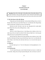 Giáo trình Vi sinh chuyên khoa (Nghề: Bảo vệ thực vật - Cao đẳng): Phần 2 - Trường Cao đẳng cộng đồng Đồng Tháp