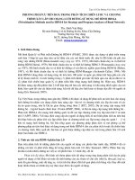 Prioritization Methods used in HDM-4 for Strategy and Program Analyses of Road Network