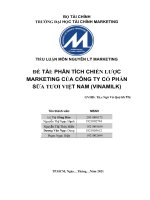 Phân tích chiến lược marketing của công ty cổ phần sữa tươi việt nam (vinamilk) tiểu luận nguyên lý marketing 