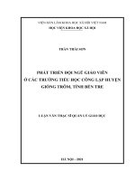 PHÁT TRIỂN ĐỘI NGŨ GIÁO VIÊN Ở CÁC TRƯỜNG TIỂU HỌC CÔNG LẬP HUYỆN GIỒNG TRÔM, TỈNH BẾN TRE