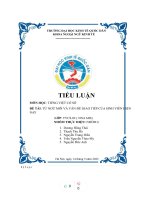 TIỂU LUẬN môn học TIẾNG VIỆT cơ sở đề tài từ NGỮ mới và vấn đề GIAO TIẾP của SINH VIÊN HIỆN NAY 