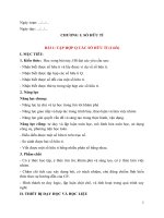 Giáo án toán 7 sách chân trời sáng tạo