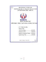 BÁO cáo bài tập môn học THỰC tập NĂNG LƯỢNG tái tạo 