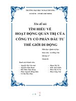 TÌM HIỂU về HOẠT ĐỘNG QUẢN TRỊ của CÔNG TY cổ PHẦN đầu tư THẾ GIỚI DI ĐỘNG 