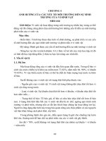 Giáo trình Vi sinh đại cương (Nghề: Dịch vụ thú y - Cao đẳng): Phần 2 - Trường Cao đẳng Cộng đồng Đồng Tháp