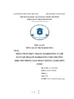 PHÂN TÍCH THỰC TRẠNG MARKETING và đề XUẤT kế HOẠCH MARKETING CHO THƯƠNG HIỆU đó TRONG GIAI đoạn THÁNG 122022 đến 52022 