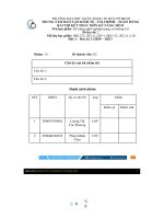 BÁO cáo PHÂN TÍCH tài CHÍNH CTCP đầu tư THẾ GIỚI DI ĐỘNG 