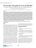 Kết quả phục tráng giống lúa Tẻ đỏ của Điện Biên