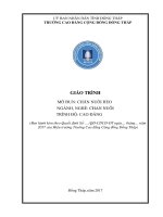Giáo trình Chăn nuôi heo (Nghề: Chăn nuôi - Cao đẳng): Phần 1 - Trường Cao đẳng Cộng đồng Đồng Tháp