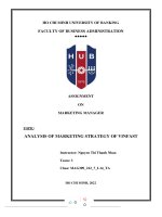 ASSIGNMENT ON MARKETING MANAGER TOPIC ANALYSIS OF MARKETING STRATEGY OF VINFAST 