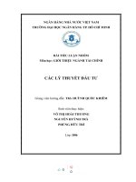 BÀI TIỂU LUẬN NHÓM môn học GIỚI THIỆU NGÀNH tài CHÍNH các lý THUYẾT đầu tư 
