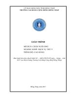 Giáo trình Chăn nuôi ong (Nghề: Dịch vụ thú y - Cao đẳng) - Trường Cao đẳng Cộng đồng Đồng Tháp
