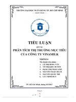 TIỂU LUẬN đề tài PHÂN TÍCH TH NG m c TIÊU ị TRƯỜ ụ của CÔNG TY VINAMILK 