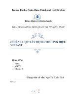 TIỂU LUẬN NHÓM môn QUẢN TRỊ THƯƠNG HIỆU CHIẾN lược xây DỰNG THƯƠNG HIỆU VINFAST 