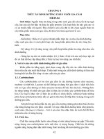 Giáo trình Chăn nuôi gia cầm (Nghề: Chăn nuôi - Cao đẳng): Phần 2 - Trường Cao đẳng Cộng đồng Đồng Tháp