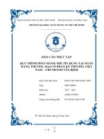 BÁO cáo THỰC tập QUY TRÌNH PHÁT HÀNH THẺ tín DỤNG tại NGÂN HÀNG THƯƠNG mại cổ PHẦN kỹ THƯƠNG VIỆT NAM – CHI NHÁNH tân ĐỊNH 