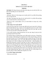 Giáo trình Sinh lý động vật (Nghề: Dịch vụ thú y - Cao đẳng): Phần 2 - Trường Cao đẳng Cộng đồng Đồng Tháp