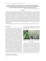 Hiệu lực phòng trừ của một số tác nhân đối kháng sinh học và hoạt chất hóa học đối với nấm Alternaria alternata gây bệnh đốm lá nha đam trong điều kiện in vitro và trong nhà màng