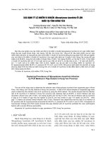 Xác định tỷ lệ nhiễm vi khuẩn Mycoplasma hyorhinis ở lợn nuôi tại tỉnh Hưng Yên