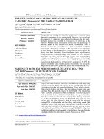 Nghiên cứu bước đầu về bệnh đốm lá ở cây trà hoa vàng gây bởi phomopsis tại Vườn quốc gia Tam Đảo