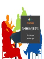 CHIẾN lược xúc TIẾN ADIDAS 
