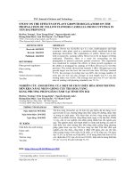 Nghiên cứu ảnh hưởng của một số chất điều hòa sinh trưởng đến khả năng nhân giống cây trà hoa vàng bằng phương pháp giâm cành tại tỉnh Yên Bái