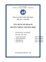 XÂY DỰNG kế HOẠCH TRUYỀN THÔNG THƯƠNG HIỆU strongbow cider 