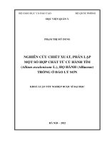 Nghiên cứu chiết xuất, phân lập một số hợp chất từ củ Hành tím (Allium ascalonicum L.), họ Hành (Alliaceae) trồng ở đảo Lý Sơn