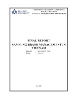 Final report samsung brand management in vietnam 