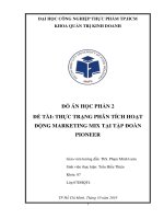 Hoạt động marketing mix của tập đoàn pioner