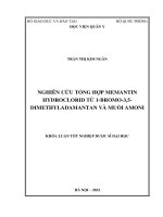Nghiên cứu tổng hợp mematin hydroclorid từ 1-bromo-3,5-dimethyladamantan và muối amoni