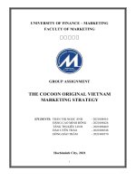 GROUP ASSIGNMENT THE COCOON ORIGINAL VIETNAM MARKETING STRATEGY 