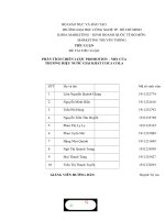 TIỂU LUẬN PHÂN TÍCH CHIẾN lược PROMOTION – MIX của THƯƠNG HIỆU nước GIẢI KHÁT COCA COLA 