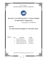 TIỂU LUẬN môn đạo đức và TRÁCH NHIỆM xã hội TRONG MARKETING đề tài văn hóa DOANH NGHIỆP của TH TRUE MILK 