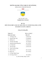 TIỂU LUẬN MARKETING căn bản đề tài PHÂN TÍCH CHIẾN lược xúc TIẾN CÔNG TY cổ PHẦN BIA, rượu, nước GIẢI KHÁT sài gòn ( SABECO ) 