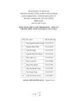 TIỂU LUẬN PHÂN TÍCH CHIẾN lược PROMOTION – MIX của THƯƠNG HIỆU nước GIẢI KHÁT COCA COLA 